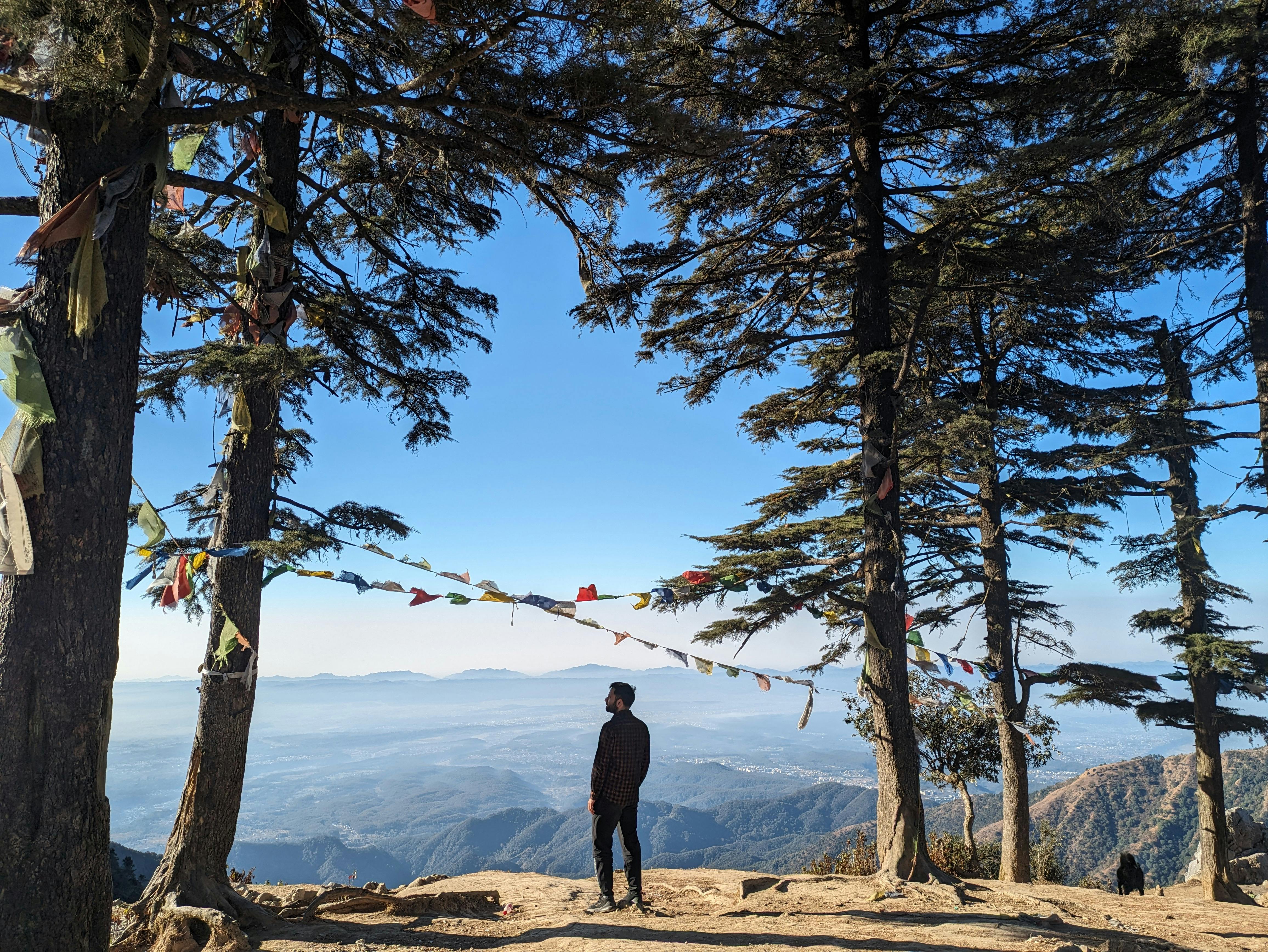 Pure Air: The Natural Medicine That Strengthens Health and Prevents Diseases